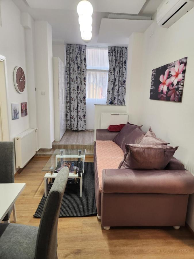 Apartman Zagreb Cca 42M2 With Free Parking Eksteriør billede