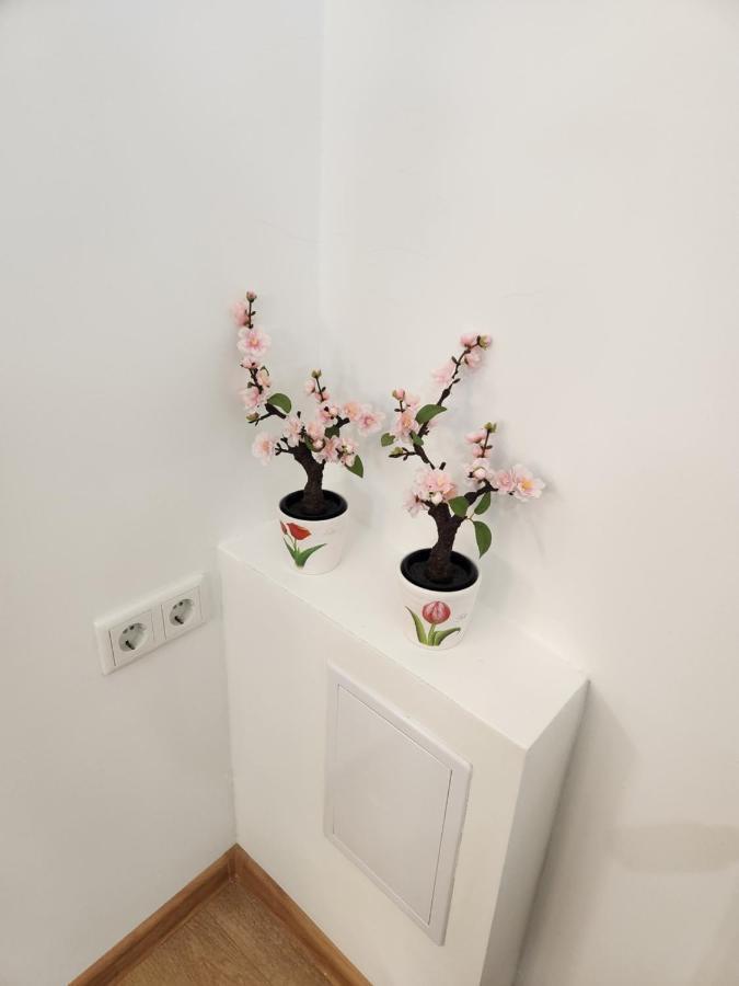 Apartman Zagreb Cca 42M2 With Free Parking Eksteriør billede