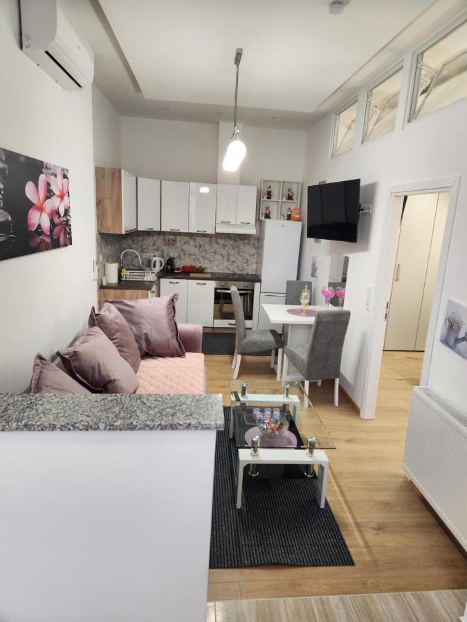 Apartman Zagreb Cca 42M2 With Free Parking Eksteriør billede
