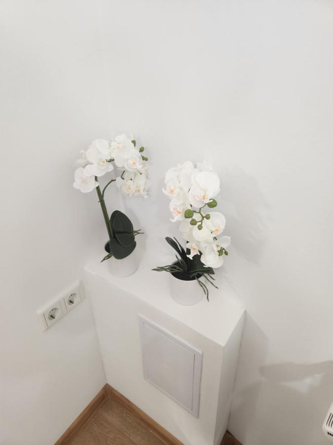 Apartman Zagreb Cca 42M2 With Free Parking Eksteriør billede